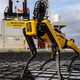 Illustration for article titled Hyundai Agrees To Buy Robot Dog Company For $921 Million: Report